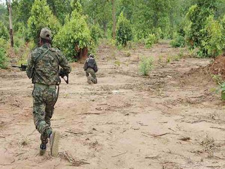 మల్కన్‌గిరిలో ఎన్‌కౌంటర్: ఐదుగురు నక్సల్స్ మృతి