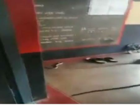 పోలింగ్ కేంద్రంలో పాము కలకలం: ఓటర్లు, సిబ్బంది పరుగో పరుగు, సీఎం సెంటిమెంట్!