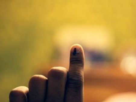 ఓటు వేసి సెల్ఫీ తీసి, పోలీసులకు చిక్కాడు: సోషల్ మీడియాలో మరో వీడియో హల్‌చల్