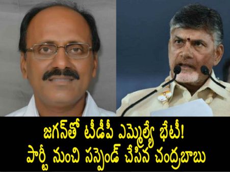 జగన్‌తో టీడీపీ ఎమ్మెల్యే భేటీ! అర్హత లేదు... పార్టీ నుంచి సస్పెండ్ చేసిన చంద్రబాబు