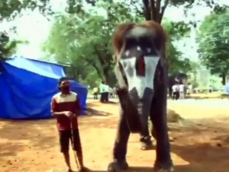 లక్ష్మీస్ మౌత్ ఆర్గన్: ఈ ఏనుగు సంగీతం ఎంత చక్కగా వాయిస్తుందో చూడండి