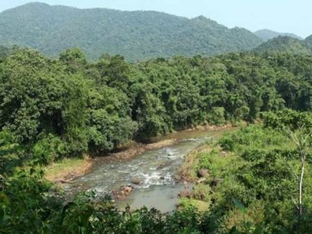 తెలంగాణలో జూనియర్ వీరప్పన్..! 20 ఏళ్లుగా పోలీసులకు సవాల్