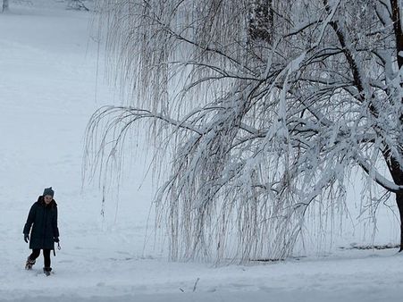 పెళ్లి కోసం పాట్లు: మంచు తుఫానులో వరుడు, అతని ఫ్యామిలీ 6 కిలోమీటర్లు నడిచింది