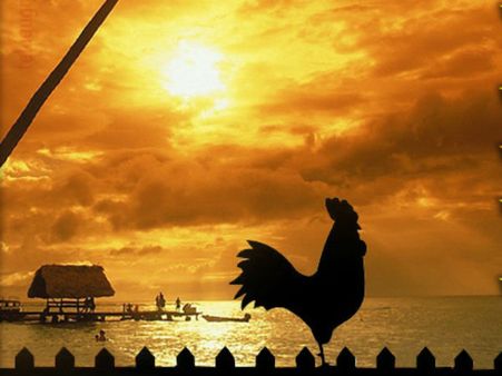 ముక్కనుమ నిజంగా నాన్-వెజ్ పండుగనా, శాస్త్రంలో ఆ ప్రస్తావన ఉందా? 