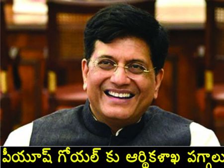 2 బడ్జెట్ల మంత్రి : పీయూష్ గోయల్ కు ఆర్థికశాఖ పగ్గాలు