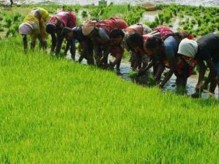 రైతుబంధు తాత్కాలిక పథకమే ... ఎల్లకాలం ఇచ్చేది కాదు..మరోసారి తేల్చిచెప్పిన పార్థసారథి