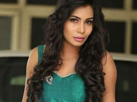 నూజివీడు ఎన్నికల బరిలో బిగ్ బాస్ 2 పార్టిసిపెంట్ సంజన ..బ్యాక్ గ్రౌండ్ ఏంటంటే