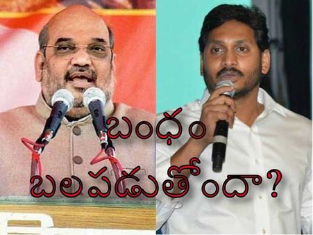 వైఎస్ జగన్‌‌తో టచ్‌లో అమిత్ షా? హంగ్ వస్తే వైసీపీ కింగ్ మేకరే!