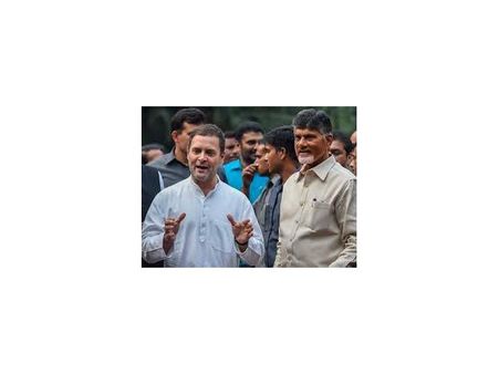 హస్తినలో బాబు బిజీ బిజీ .. శనివారం రాహుల్, మాయాతో భేటీ