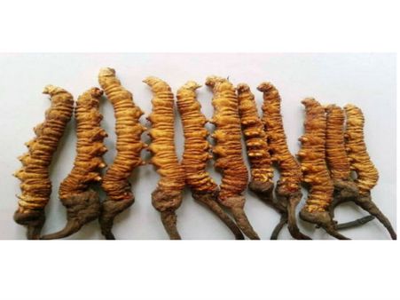 శృంగార మంత్ర: ఆ మొక్కలో ఏముంది బాసూ...జనం అంతలా కొట్టుకుంటున్నారు..?