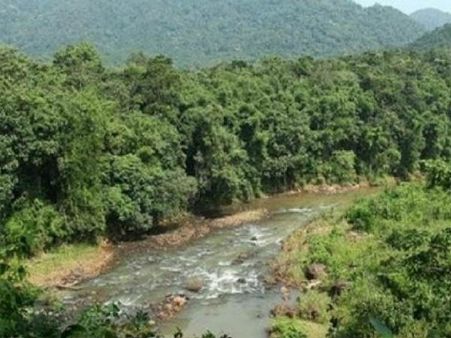 పాపం పసిపాప ..8 రోజులుగా నల్లమల అడవిలో .. ఆచూకీ కోసం అడవి జల్లెడ