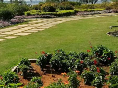 కనీసం పార్కుల్లో కూడా కానరాని హరితహారం..! పచ్చదనం కరువైన నగర పార్కులు..!!