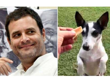 మనుషులతో మాట్లాడేది లేదా ? .. శునకంతో షికార్లా ... ఫోటో వైరల్