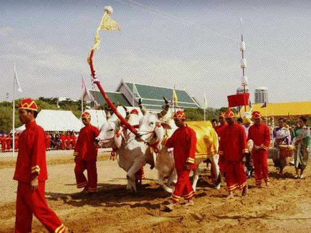 అదో పెద్ద కథ: ఆదేశంలో పంటలు నిర్ణయించేది మనుషులు కాదు పశువులు..!