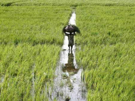 రైతులకు శుభవార్త ... ఈ ఏడాది పుష్కలంగా వర్షాలు పడతాయన్న వాతావరణ శాఖ