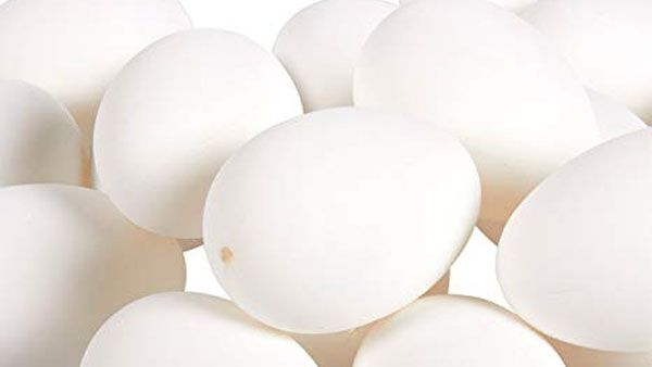 అంగన్‌వాడీలో ప్లాస్టిక్ గుడ్లా.. పేరెంట్స్ ఫిర్యాదుతో పరేషాన్.. తీరా ఏమైందంటే..!