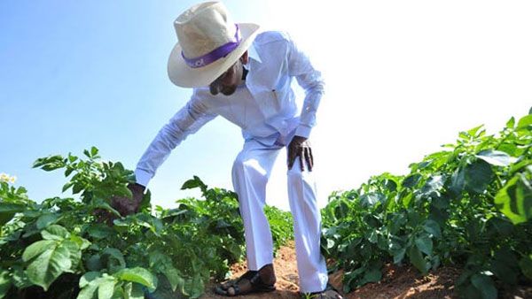 ఇది పడగొట్టే సీజన్..! కేసీఆర్ ఫాంహౌస్ కూల్చివేత..!!