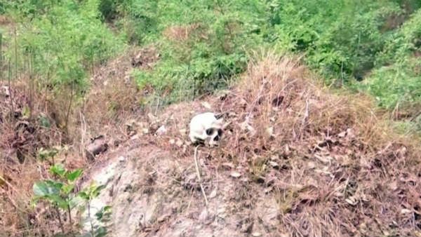 ముజఫర్‌నగర్ ఎముకల నిగ్గుతేల్చే పనిలో కమిటీ .. 48 గంటల్లో తేలుస్తామని ధీమా ...