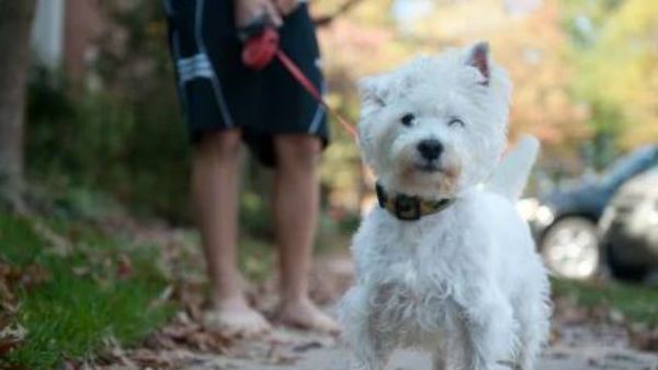 అక్రమ సంబంధం పెట్టుకుందని నడిబజారులో వదిలేశాడు.. ఇంతకీ ఎవరినో తెలుసా?