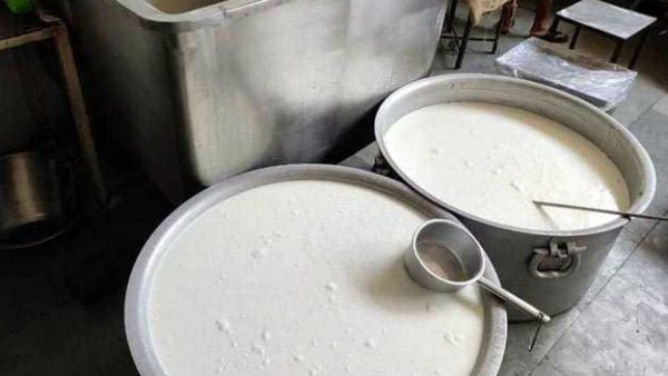 సింథటిక్ పాల ఉత్పత్తి కేంద్రాలపై పోలీసుల దాడులు....ఆరు రాష్ట్రాల్లో సింథటిక్ పాల పంపిణి