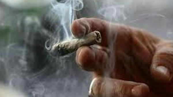 సిద్దిపేటలో 1000 కిలోల గంజాయి పట్టివేత..!