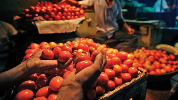 టమాట మాటంటే బెదిరిపోతున్న సామాన్యులు...ధరలు మళ్లీ పెరిగే అవకాశం?