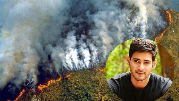 అమెజాన్ అడవులు కాలిపోతున్నాయి.. ఆక్సిజన్‌పై ఆందోళన.. యాక్టర్ మహేశ్ బాబు విచారం (VIDEO)