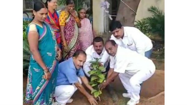 సీఎం కేసీఆర్ చెప్పింది ఇలా అర్థమైందా.. మొక్కలు నాటమంటే ఏం చేశారో తెలుసా..! (వీడియో)