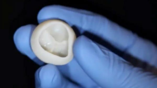 వైద్యరంగంలో మరో ముందడుగు: చర్మం నుంచి గుండె సంబంధిత అవయవాల సృష్టి