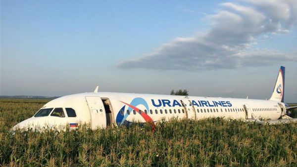 విమానం ఇంజిన్లలోకి పక్షులు..ఎమర్జెన్సీ ల్యాండింగ్‌కు కోరిన పైలట్, 23 మందికి గాయాలు