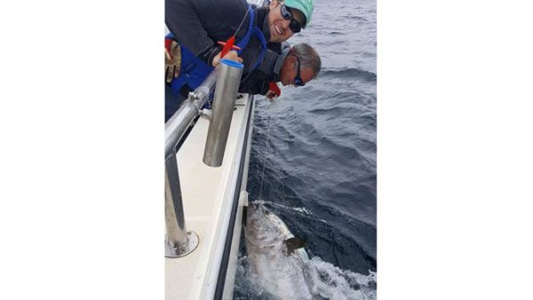 చేప విలువ రూ. 23 కోట్లు...!