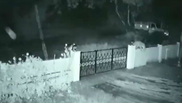 వామ్మో.. ఇంట్లోకి చొరబడ్డ చిరుత.. కనిపించిన శునకాన్ని నోట్లో పెట్టుకొని...(వీడియో)