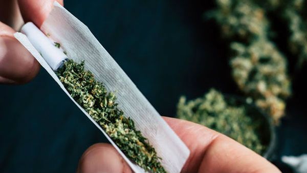 విశాఖ ఏజెన్సీలో గంజాయిపై ఎక్సైజ్ పంజా.. కోట్ల విలువైన సరుకుపై కొరడా