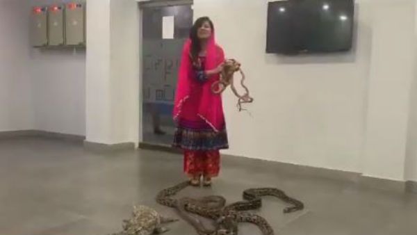 పాక్ గాయని పైత్యం: మోడీని చంపడానికి పాములు, మొసళ్ళు పంపుతోందట(వీడియో)