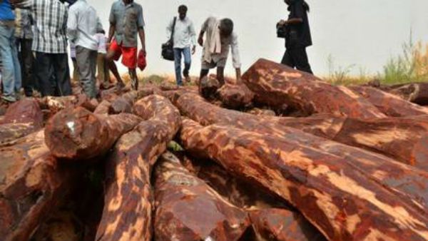 మళ్ళీ రెచ్చిపోతున్న ఎర్రచందనం స్మగ్లర్లు .. శేషాచల అడవుల్లో పోలీసులపై రాళ్ళు రువ్వి పరారీ