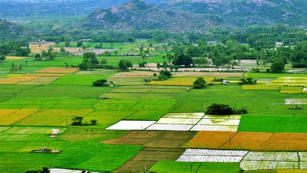 ఎకరాలకొద్దీ అక్రమ పట్టాలు.. రెవెన్యూ అధికారుల లీలలు.. ఏసీబీ నిఘాతో పరార్..!
