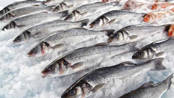 బెంగళూరులో భారీ నాన్ వెజ్ పార్టీ, టన్నుల టన్నుల మాంసం, లక్షల మంది, దెబ్బకు!