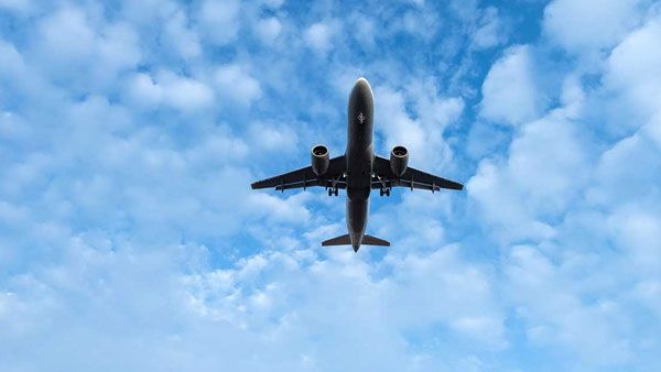 విమానంలో పైలట్, ఎయిర్ హోస్టెస్ ఆ పని.. ప్రయాణికులు చూసినా... వీడియో తీసి....