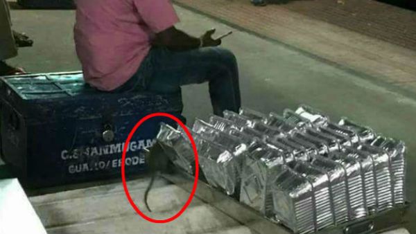 లకలకలక, ఎలుకలు పట్టుకోవడానికి రూ. 5. 89 కోట్లు ఖర్చు, రైల్వే లీలలు!