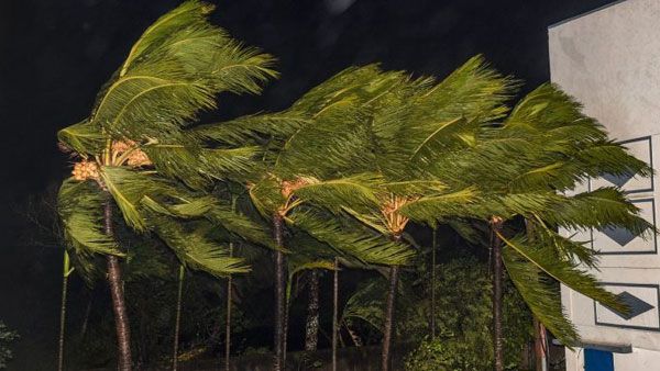 బుల్‌బుల్ తుఫాను బీభత్సం: 9మంది మృతి, 4లక్షల మందిపై ప్రభావం, మమతకు ప్రధాని ఫోన్