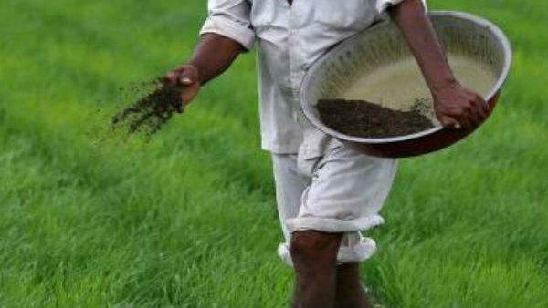 తహశీల్దార్ ఆఫీసు వద్ద రైతు.. పురుగుల మందు డబ్బాతో... ఇళ్లు, భూమి పట్టా చేయడం లేదని....