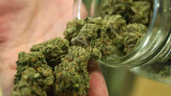 విద్యార్థులే టార్గెట్ గా గుప్పుమంటున్న గంజాయి ... ట్రాఫికర్స్ వారే, విక్రయించేది వారే ..