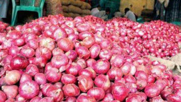 ఉల్లి కష్టాలు: ఆ సంస్థ కొన్ని వేల మెట్రిక్ టన్నుల ఉల్లిని వృథా చేసిందా..?