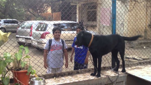 ఈ సీఎంకు చెందిన కుక్క ఇంటర్నెట్ సెలిబ్రిటీ అయ్యింది