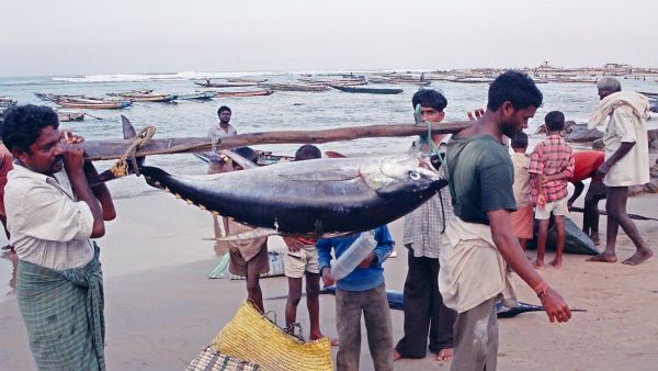 Executive Capital: అక్వా లోడ్ ఎత్తారు: విశాఖలో వాలిన తొలి కార్గో విమానం: చేపలు, రొయ్యల తరలింపు..!