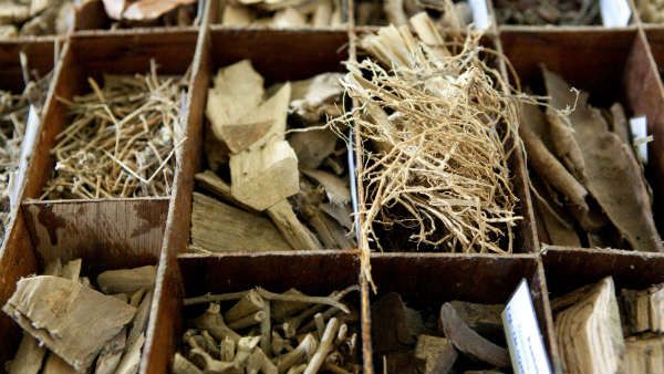 ఆయుర్వేదంతో మనిషి ఆరోగ్యానికి కలుగు ఉపయోగాలు.. అన్నంతో లాభమేంటి..?