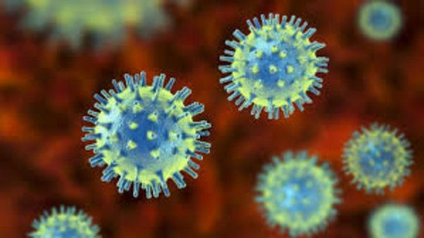 coronavirus:ఆఫ్రికాలో కూడా కరోనా విలయం, 3 లక్షల మంది మృతి: డబ్ల్యూహెచ్‌వో వార్నింగ్..