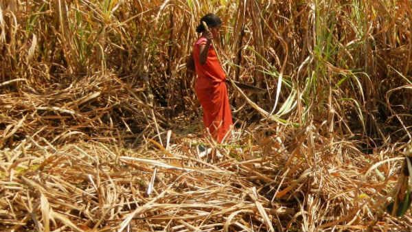 వలస కూలీలకు ఊరట: స్వస్థలాలకు వెళ్లేందుకు అనుమతి.. కానీ వైద్య పరీక్షల తర్వాతే...