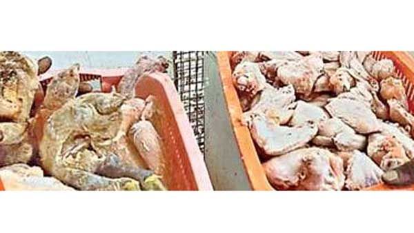 మాంసం ప్రియులూ జర జాగ్రత్త!: పూడ్చిన మాంసం, కుళ్లిన చేపలు అమ్ముతున్నారు!