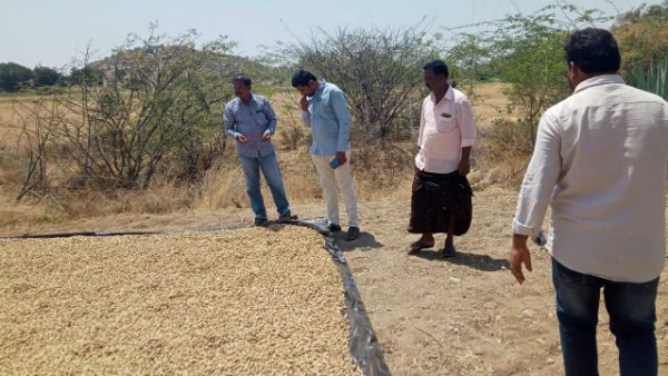 పేదల ఇళ్ల స్ధలాల కేటాయింపులో కుల రాజకీయం - రాయదుర్గం తహసీల్దార్ సస్పెన్షన్